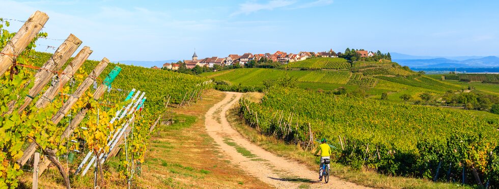 Riquewihr Radfahrerin