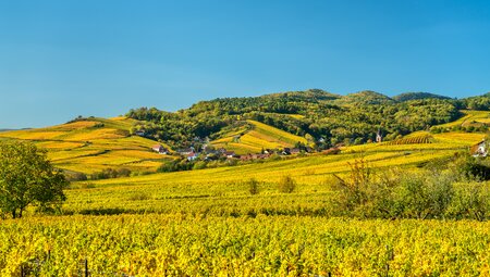 Relax Radtour im Elsass