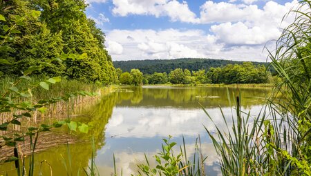 Fulda: von der Quelle bis Hann. Münden 