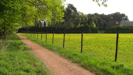 Münsterland: große Rundtour - Gärten, Parks und Flamingos