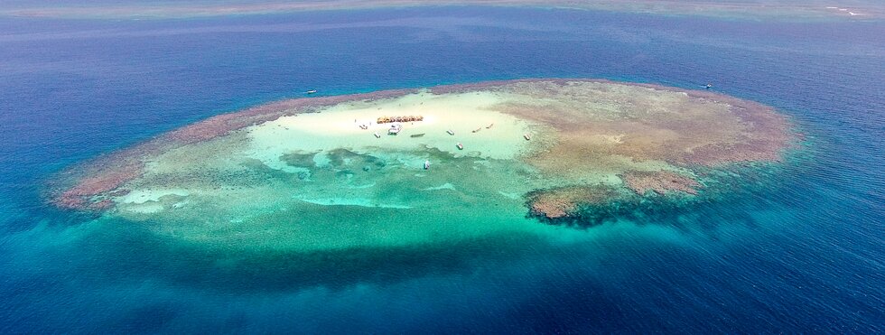 Cayo Arena