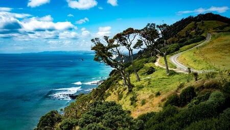 Neuseeland Nordinsel-Abenteuer