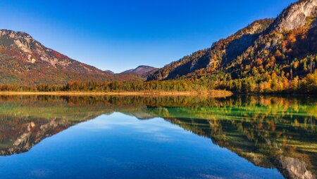 Salzkammergut Berge & Seen Trail 5: Naturjuwel Almtal mit Grünberg und Traunsee