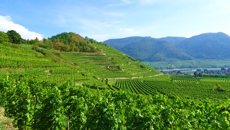 Donau-Radweg: Von Passau nach Wien mit Charme