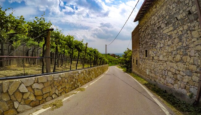 Radweg auf dem Land nach Verona