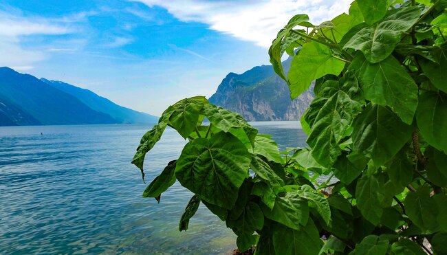 Blauer Himmel am Gardasee