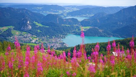 Sternwandern am Wolfgangsee mit Charme