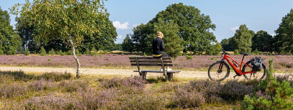 Radfahrerin in der Lüeburger Heide