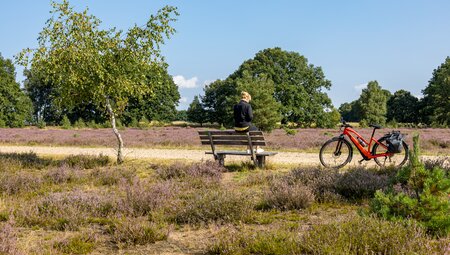 Lüneburger Heide: Rundtour 7 Tage