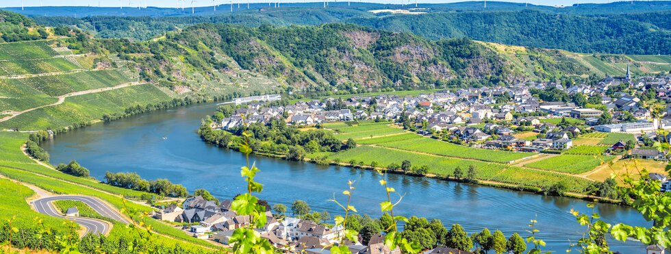 Piesport an der Mosel