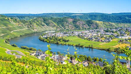 Mosel: Bummeltour