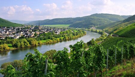 Mosel: Klassiker von Trier nach Koblenz