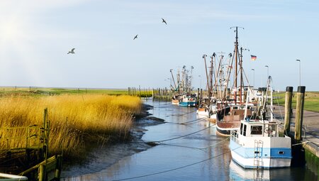 Weser-Radweg: Hann. Münden - Cuxhaven