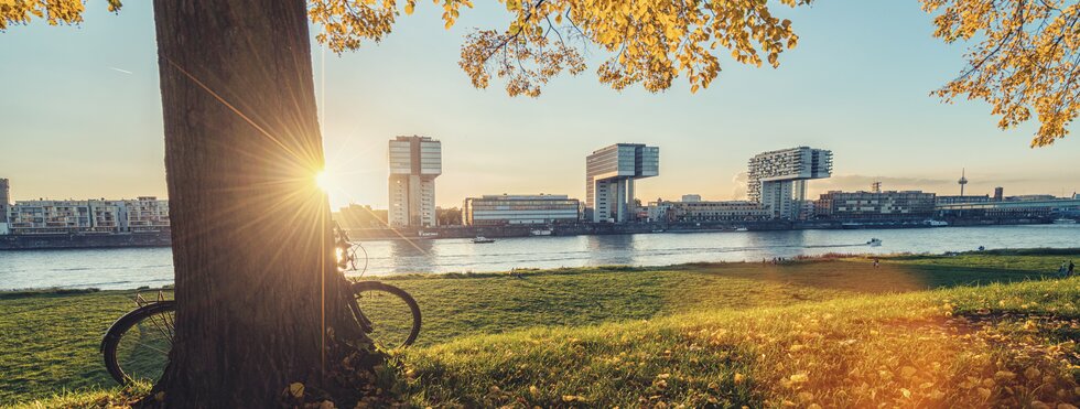 Fahrrad in Köln am Rhein