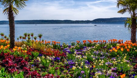 Die große Runde am Bodensee - 4*