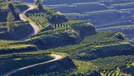 Radtour um den Kaiserstuhl