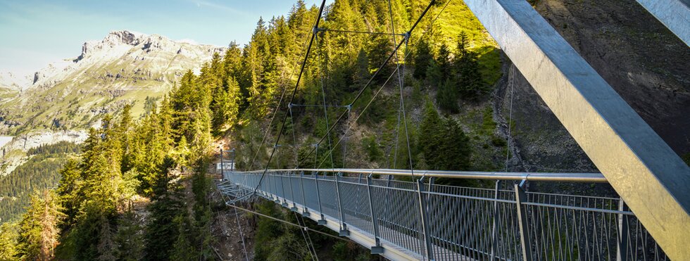 Hängebrücke auf der Wanderung Bisse du Ro am Wildstubel