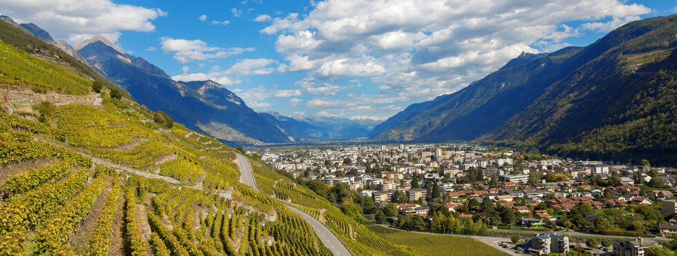 Blick auf Weinterrassen bei Martigny im Wallis