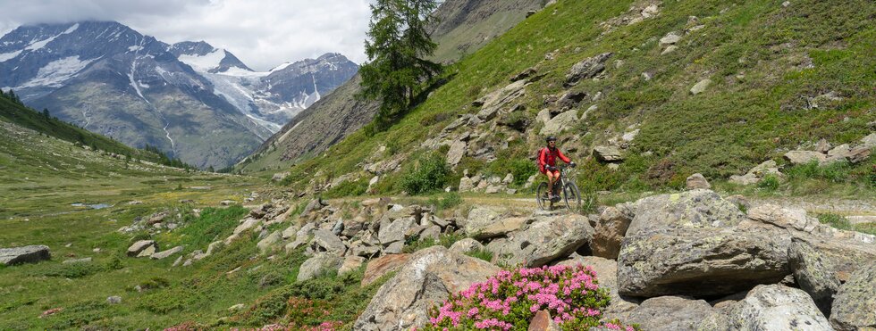 Mountainbiker bei Täsch im Wallis