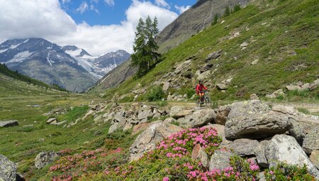 Valais Alpine Bike: Genuss pur auf Walliser Singletrails