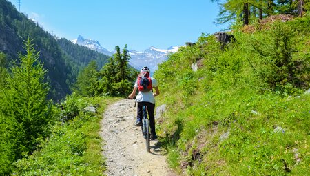 Valais Alpine Bike: Crans-Montana – Brig