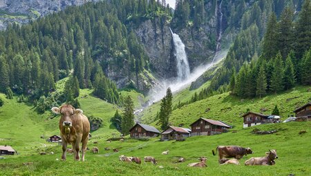 Alpenpanorama-Route - Appenzell & Glarus