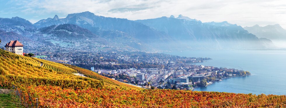 Terrassen des Lavaux am Genfersee