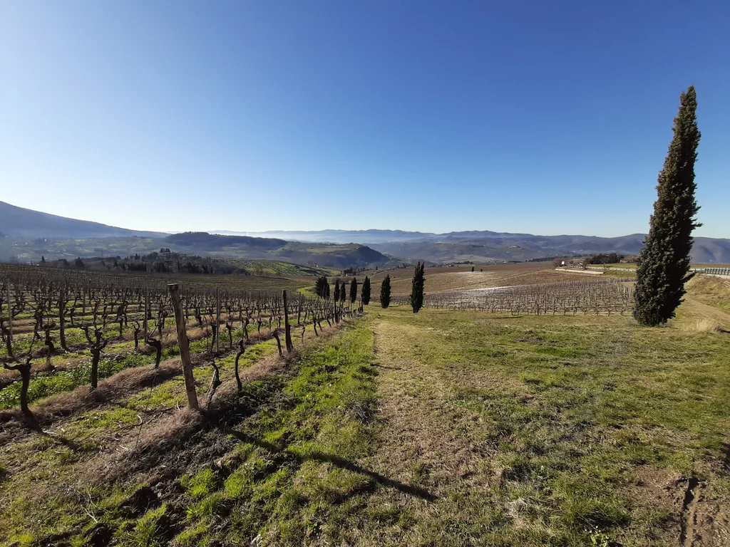 Franziskusweg - Florenz nach Chiusi della Verna