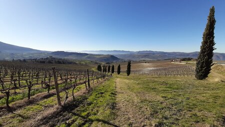 Franziskusweg - Florenz nach Chiusi della Verna