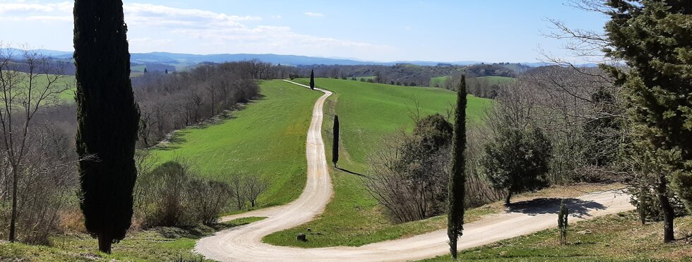 Etruskerstraße zwischen Bounconvento und Chiusi