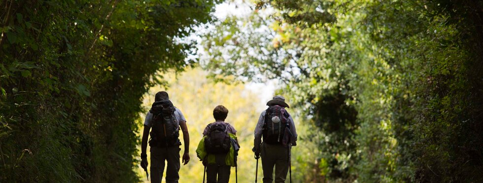 Französischer Jakobsweg von León nach Santiago