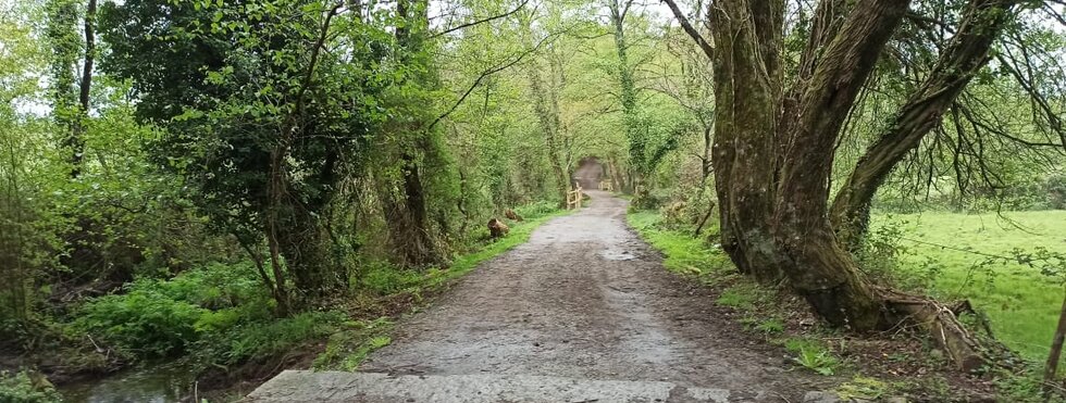 Französischer Jakobsweg von Sarria nach Santiago de Compostela mit Melide