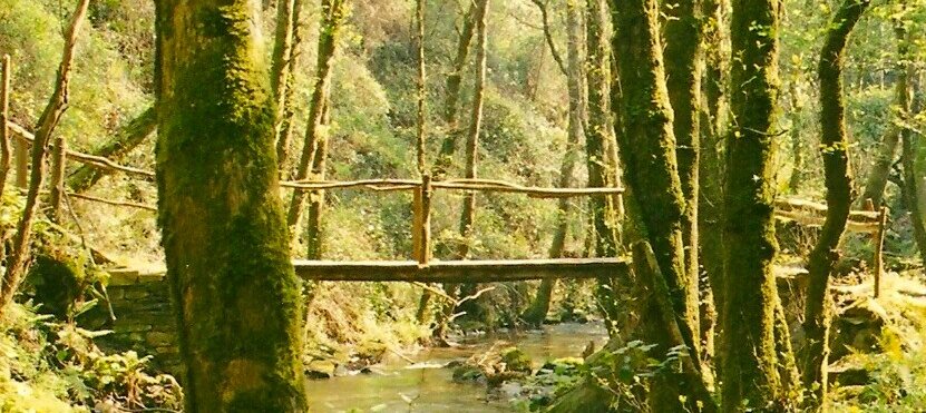 Portugiesischer Jakobsweg von Baiona nach Santiago