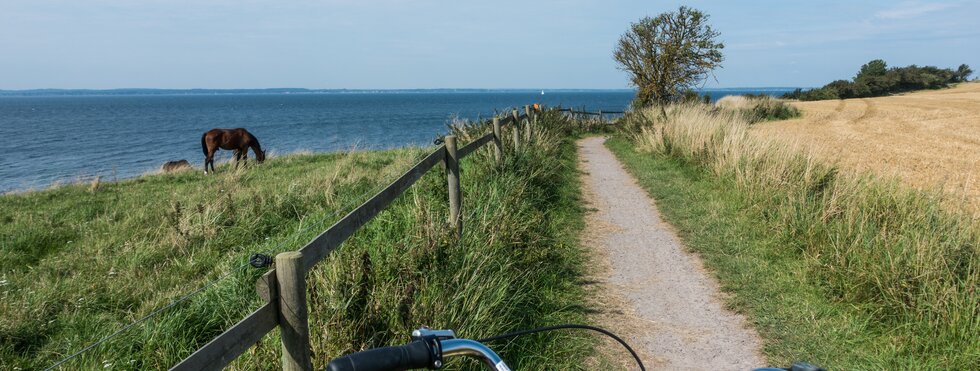 Von Kopenhagen nach Malmö - Radurlaub in Dänemark & Schweden