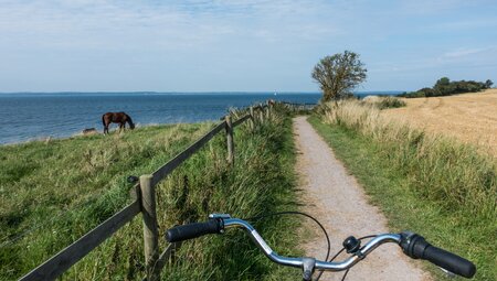 Von Kopenhagen nach Malmö - Radurlaub in Dänemark & Schweden