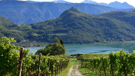 Von Meran zum Gardasee - Südtirol, Brenta & Trentino 6 Tage ab Kaltern