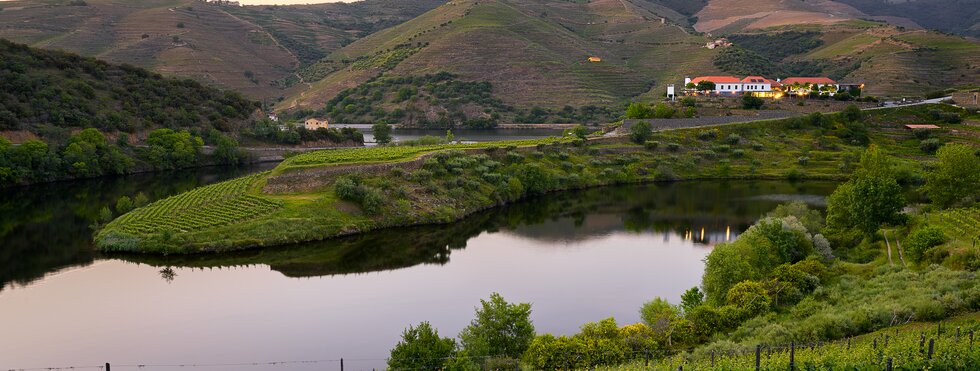 Douro Flussbiegung bei Quinta do Tedo