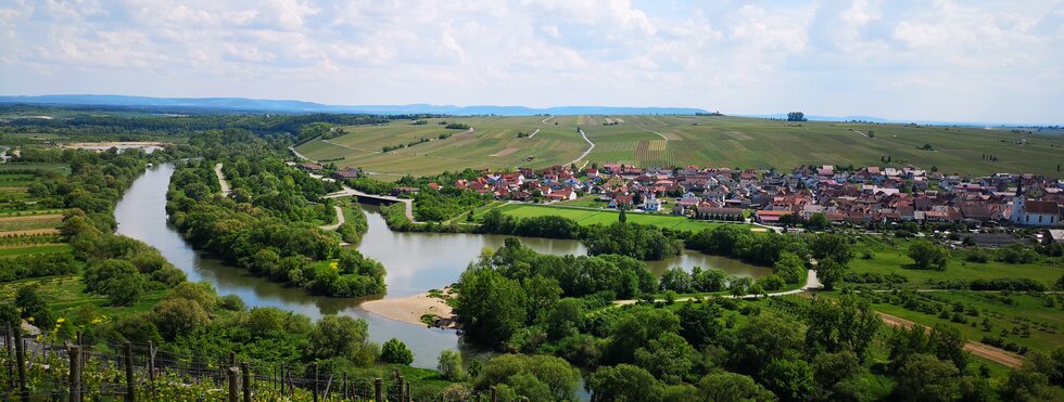 MAINFRANKEN | INDIVIDUELLE RADREISE | RUND UM WÜRZBURG - 5 TAGE