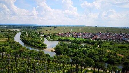 MAINFRANKEN | INDIVIDUELLE RADREISE | RUND UM WÜRZBURG - 5 TAGE