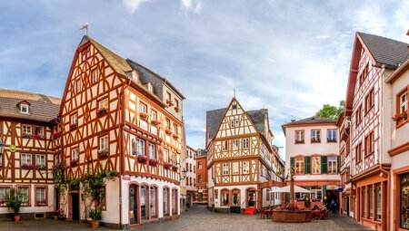 Rieslingroute - Rheingau, Nahe, Rheinhessen und Pfalz