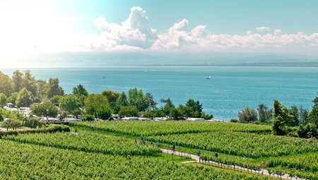 Bodensee - geführte Radreise - Drei Länder Tour