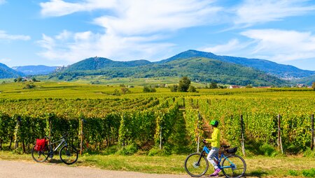 Elsass- geführte E-Bike Reise