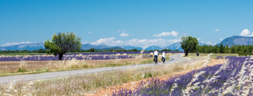 Radfahrer in der Provence