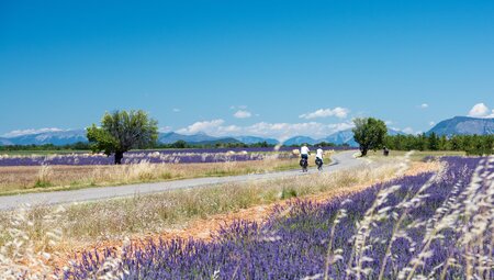 Provence - geführte E-Bike Reise