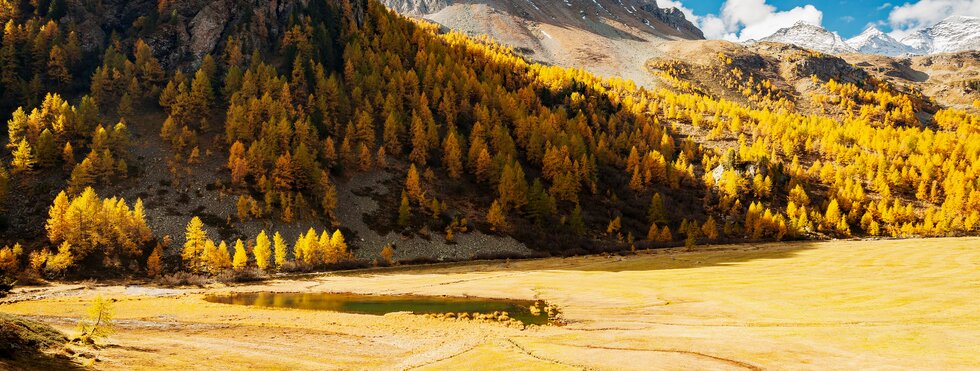 Bernina Tour