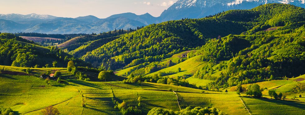Atemberaubende Landschaft im Frühling mit grünen Feldern auf Hügeln und hohen schneebedeckten Bergen im Hintergrund, Dorf Holbav, Siebenbürgen, Rumänien, Europa