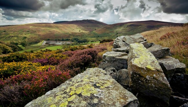 Landschaft Wales