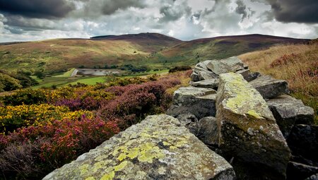 Trans Wales Trailrun