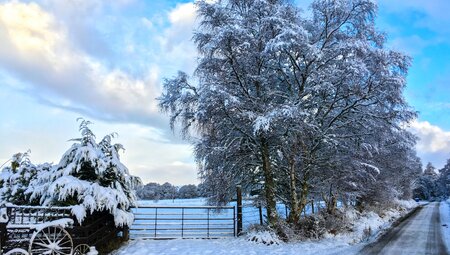 Schottland - Highlands Winterwandern