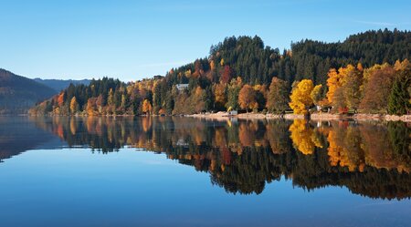 Schwarzwald - Bodensee - Auf dem Querweg vom Titisee nach Radolfzell